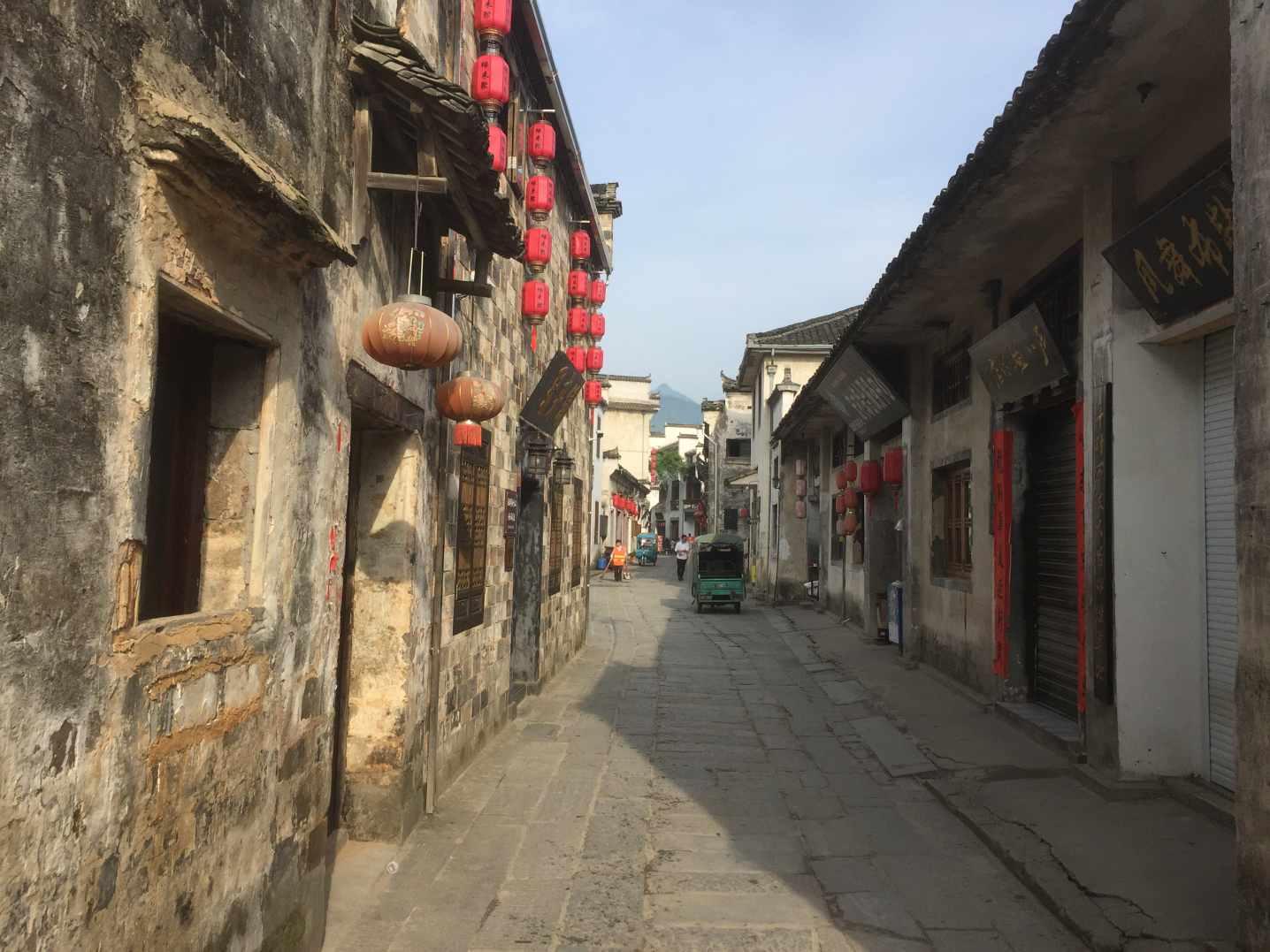 动物帮帮忙保卫家园